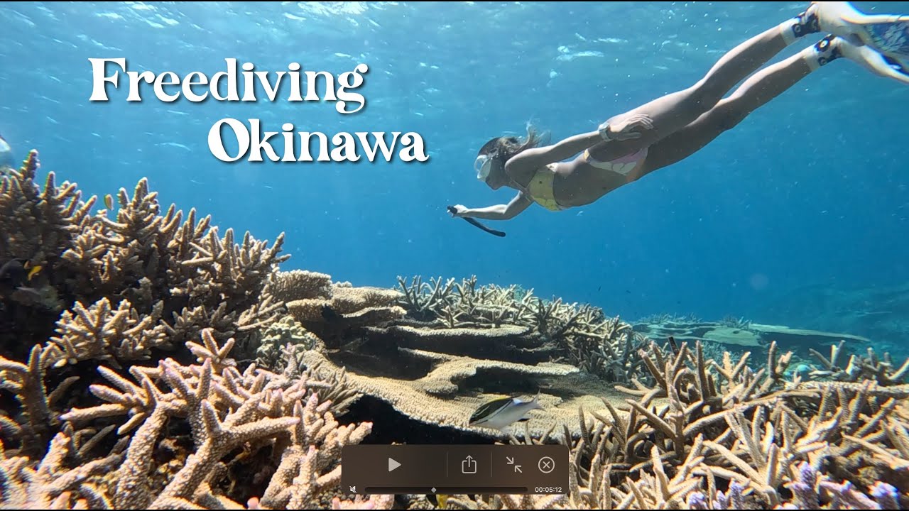 พาเที่ยวโอกินาว่า ดำน้ำที่เกาะ Zamami Freedive Okinawa, Japan