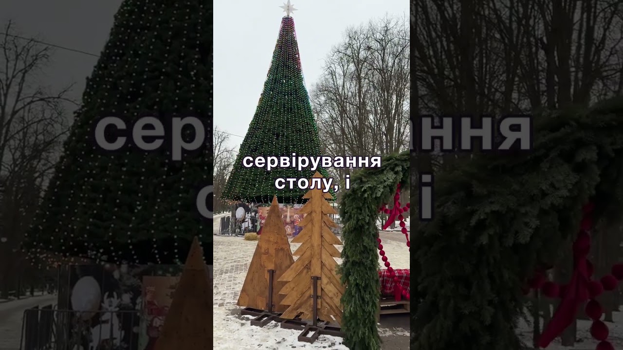Новий рік з колишньою дружиною і дітьми чоловіка