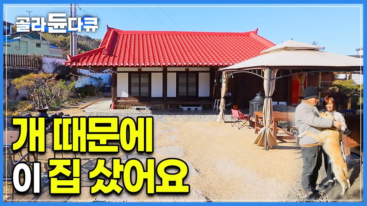 우리집 개 때문에 120년 된 고택을 샀다. 그런데 개만큼 사람도 푹 빠져버린 바닷가 마을 빨간 지붕집🏠 시골살이 초짜 부부의 고택 수리 | 반려견 | #골라듄다큐
