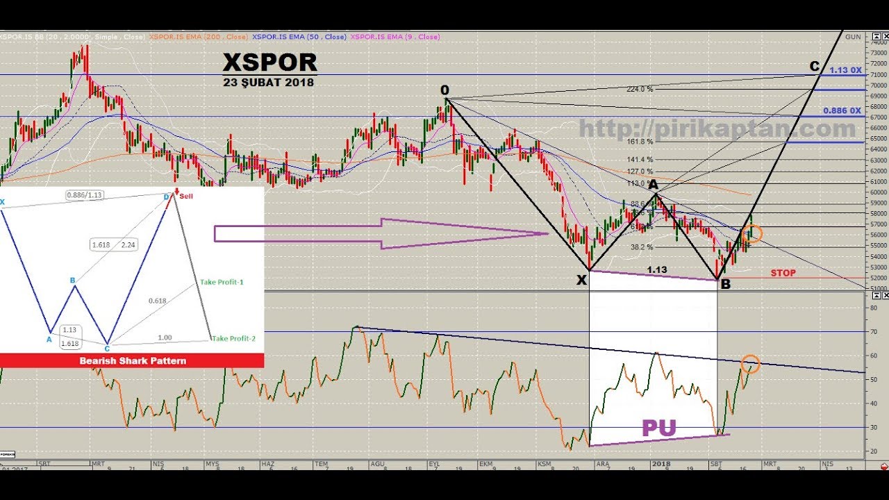 XSPOR ENDEKSİ (BEARISH SHARK) GRAFİK ANALİZ EĞİTİM &Ccedil;ALIŞMASI..