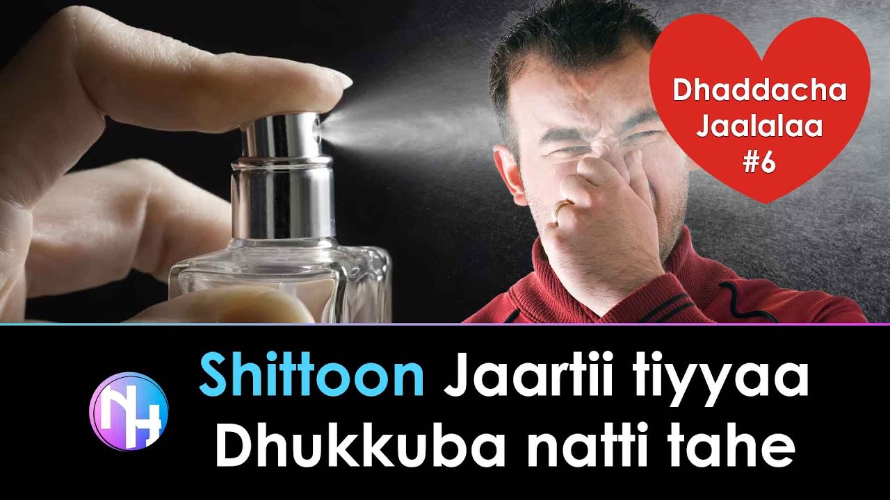 Shittoon Jaartii tiyyaa dhukkuba natti tahe - Dhaddacha Jaalalaa Doosee 6ffaa