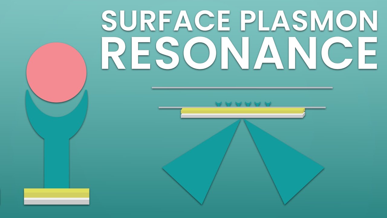 An introduction to surface plasmon resonance