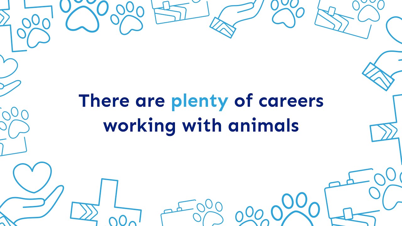 Animal Care Courses - It&rsquo;s Never Too Late To Do Something You Love - Learndirect
