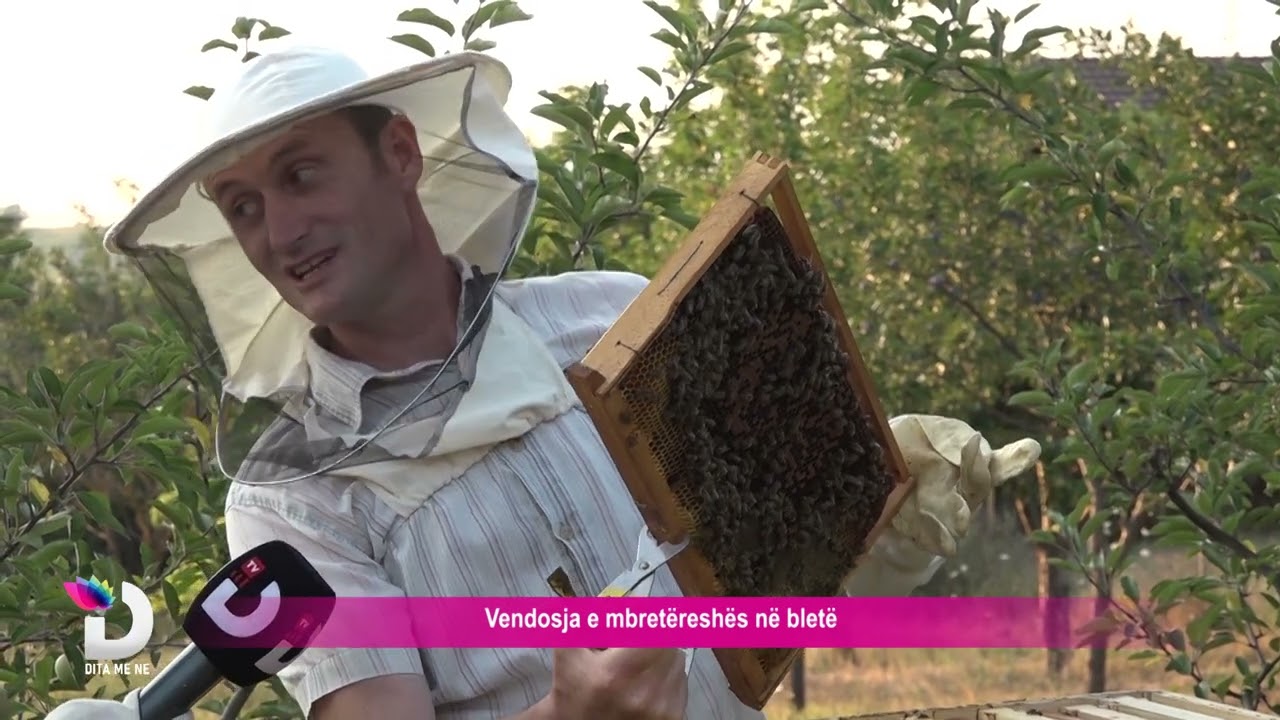 Njihuni me bletarin më të famshëm në Malishevë, Nexhat Krasniqi