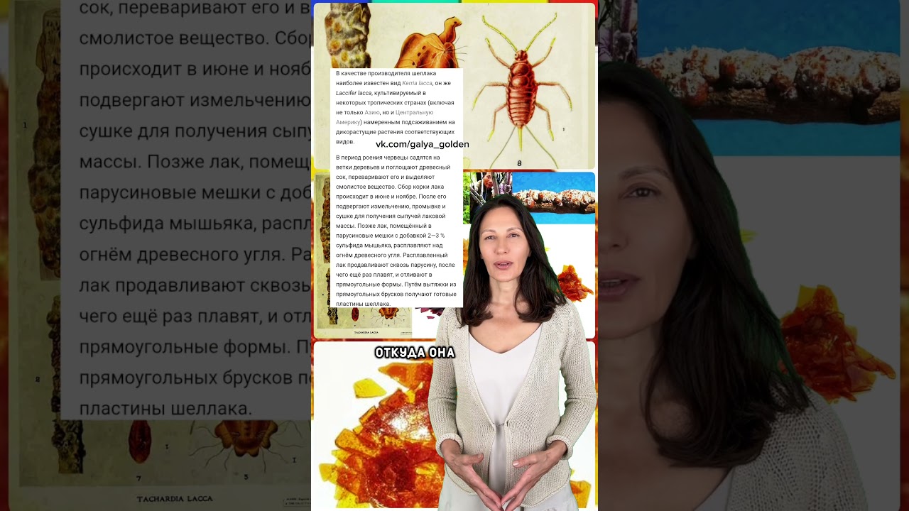 Экскременты паразитов как пищевая добавка: что такое Е904? #простобизнес #ничеголичного #чтотыешь