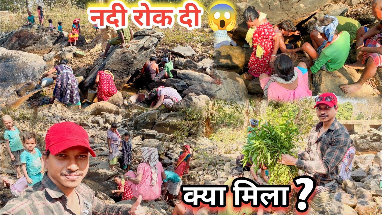 जंगल की नदी रोक दी गई! 😱 | हो समुदाय का अनोखा मछली पकड़ने का तरीका 🐟 | Real Village Fishing