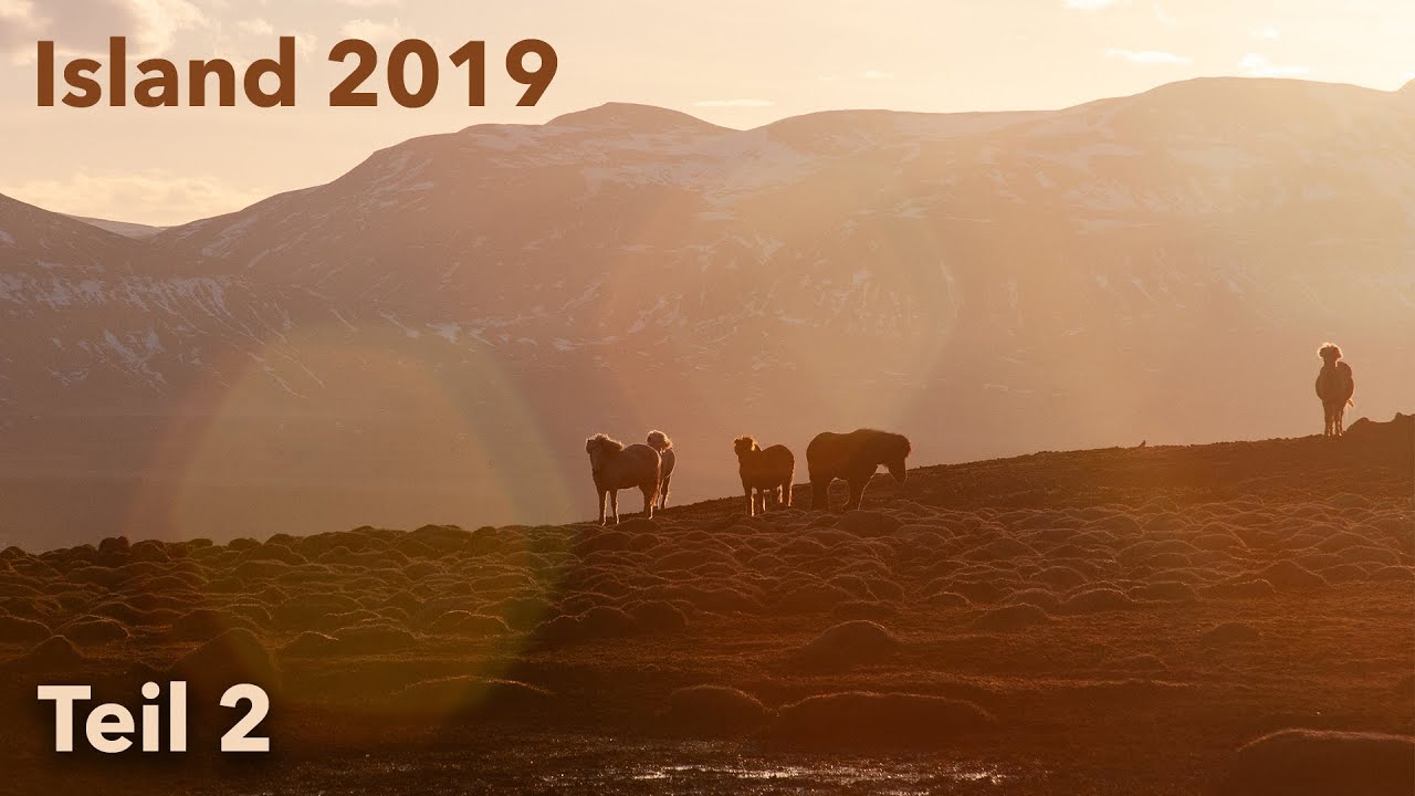 You take me back to when I was free. | Island 2019 | Janas ViLögg