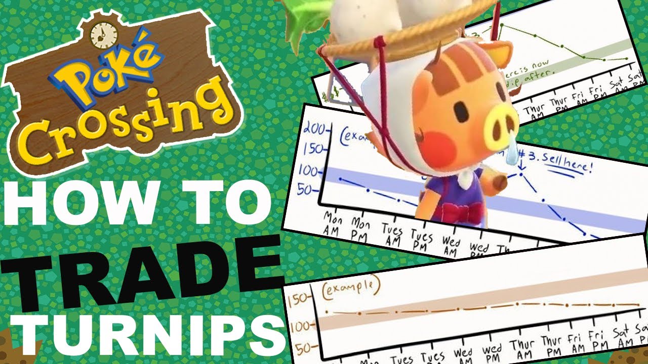 Learn the Basics of Turnip Trading (Animal Crossing New Horizons)