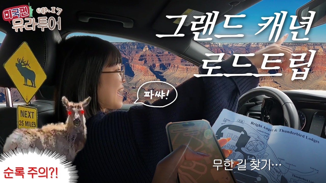 🎁여행계획표 나눔🎁 지루할 틈 없는 로드트립 (순록 봄) | 뮤라투어(미국편) Ep.17