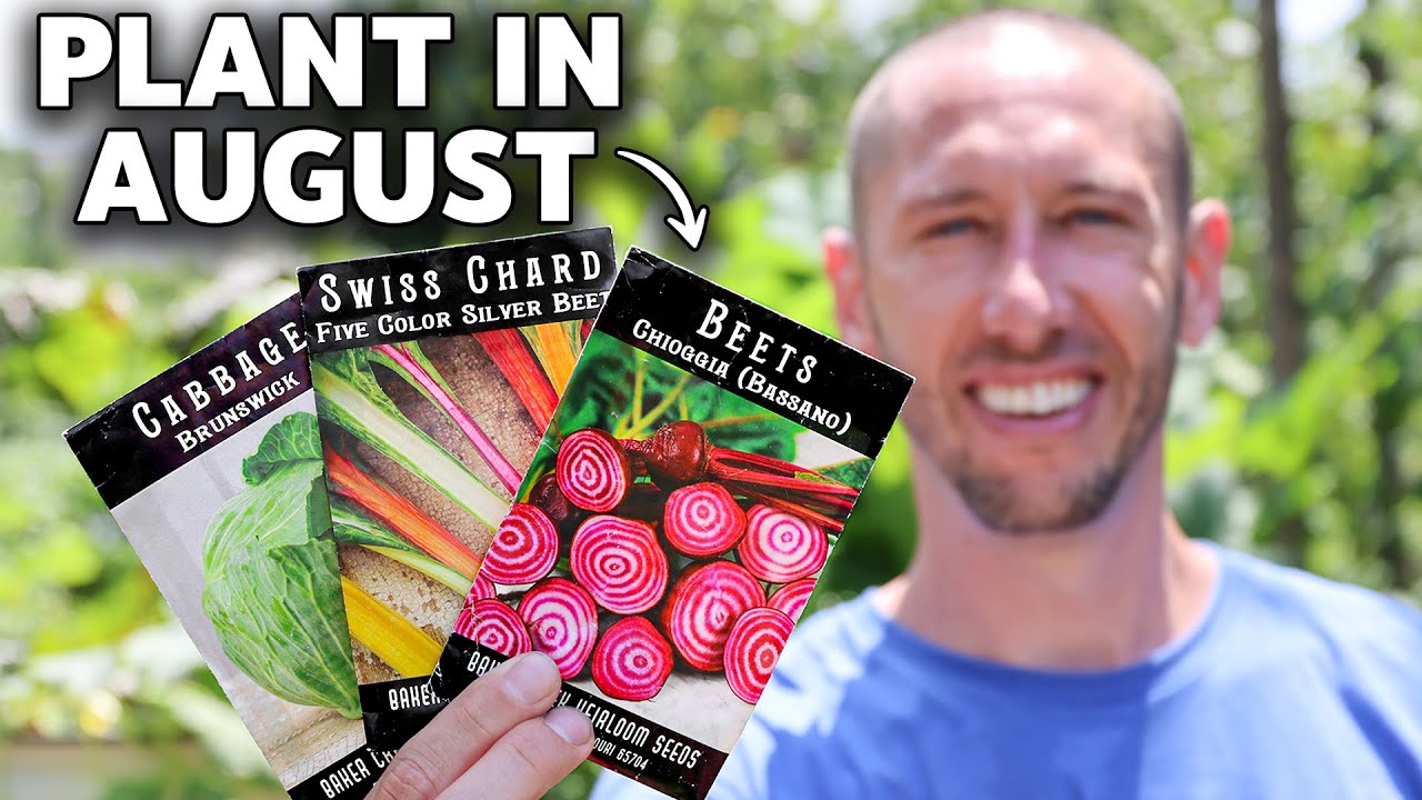 20+ Crops You Gotta Plant in August!