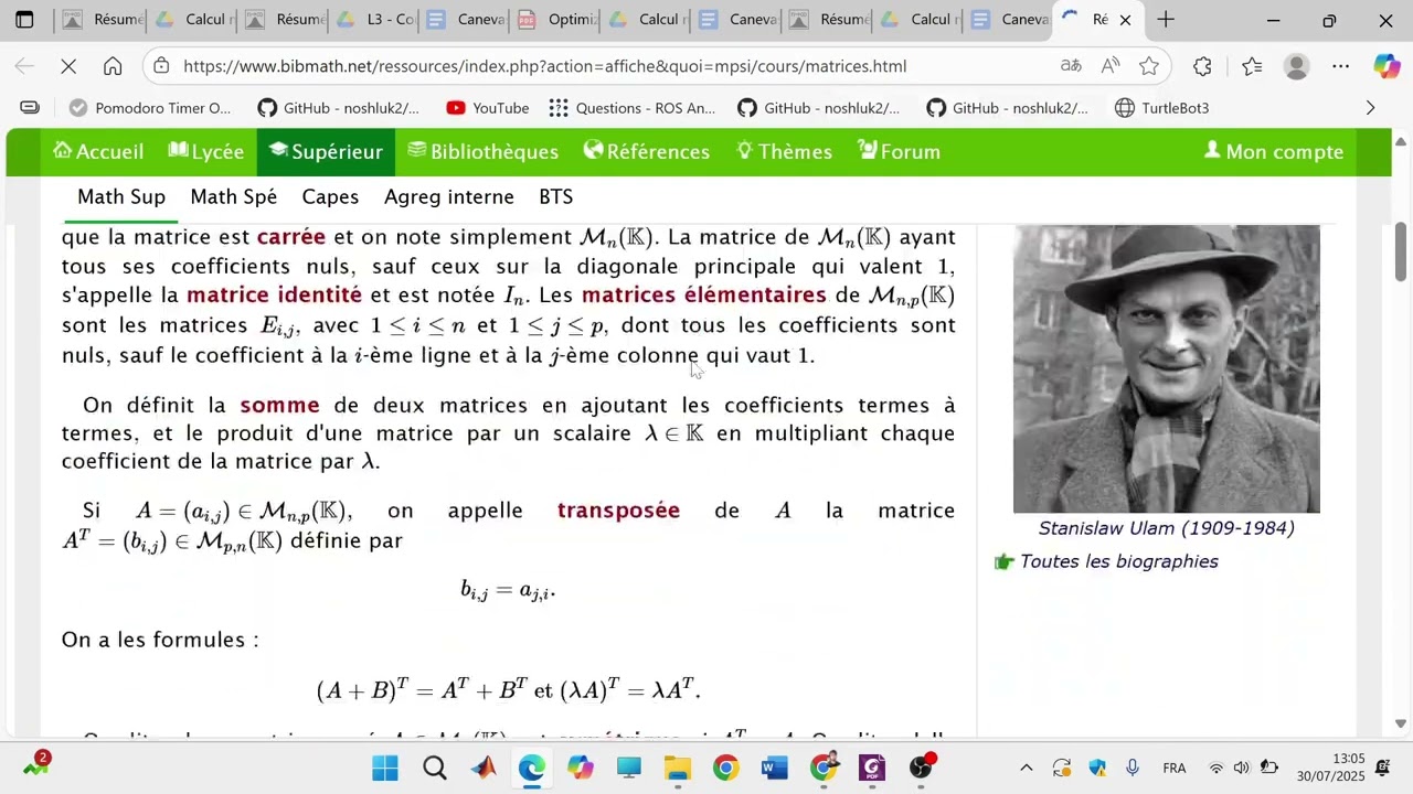 Video about Constrained Optimization
