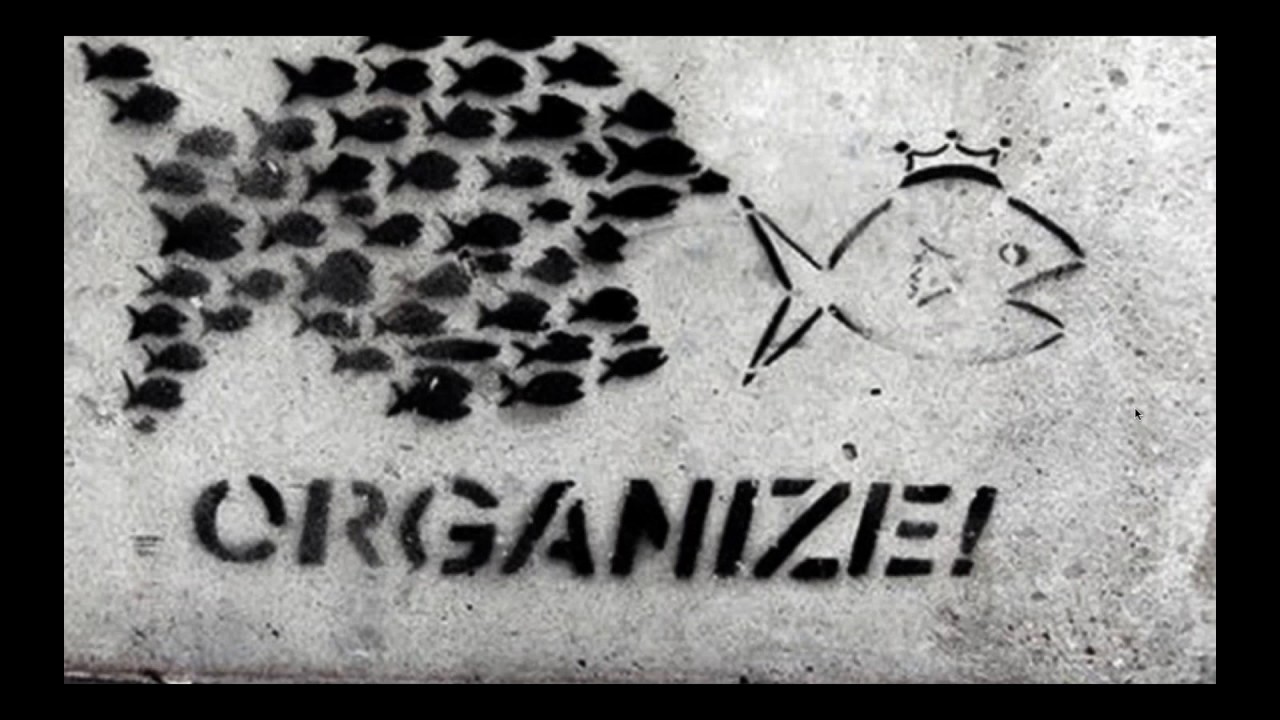 Building a Volunteer Base: How to Organize the Grassroots to Win Campaigns and Causes