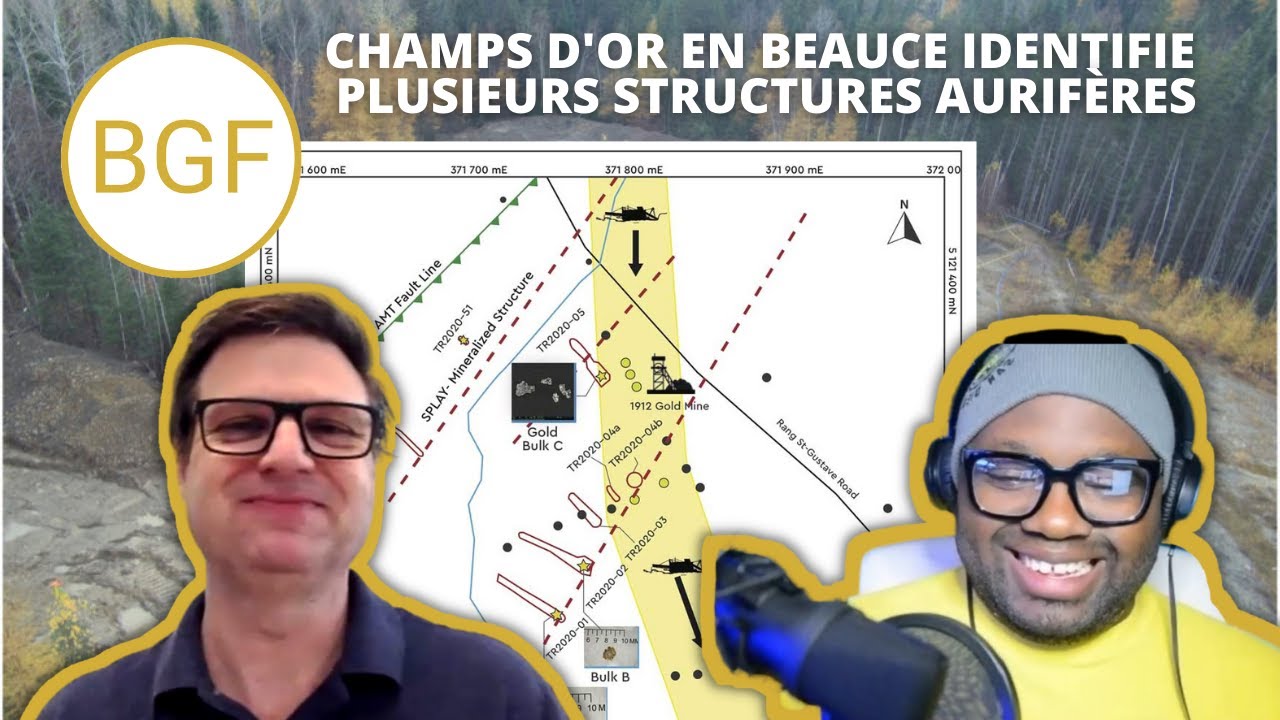 Champs D'or En Beauce Identifie Plusieurs Structures Aurif&egrave;res | Entretien avec le PDG