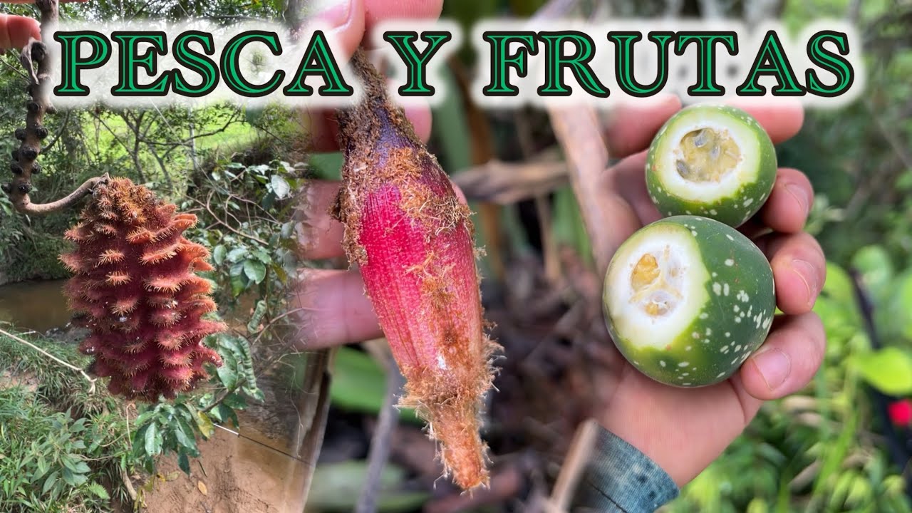 Pesca y Frutas 🎣🍊