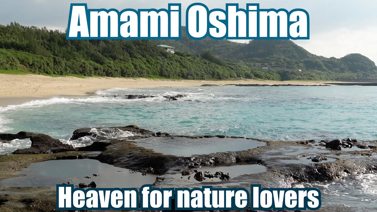 The Japan's most unique remote subtropical island, Amami Oshima island, Akaogi, Tatsugo town　龍郷町