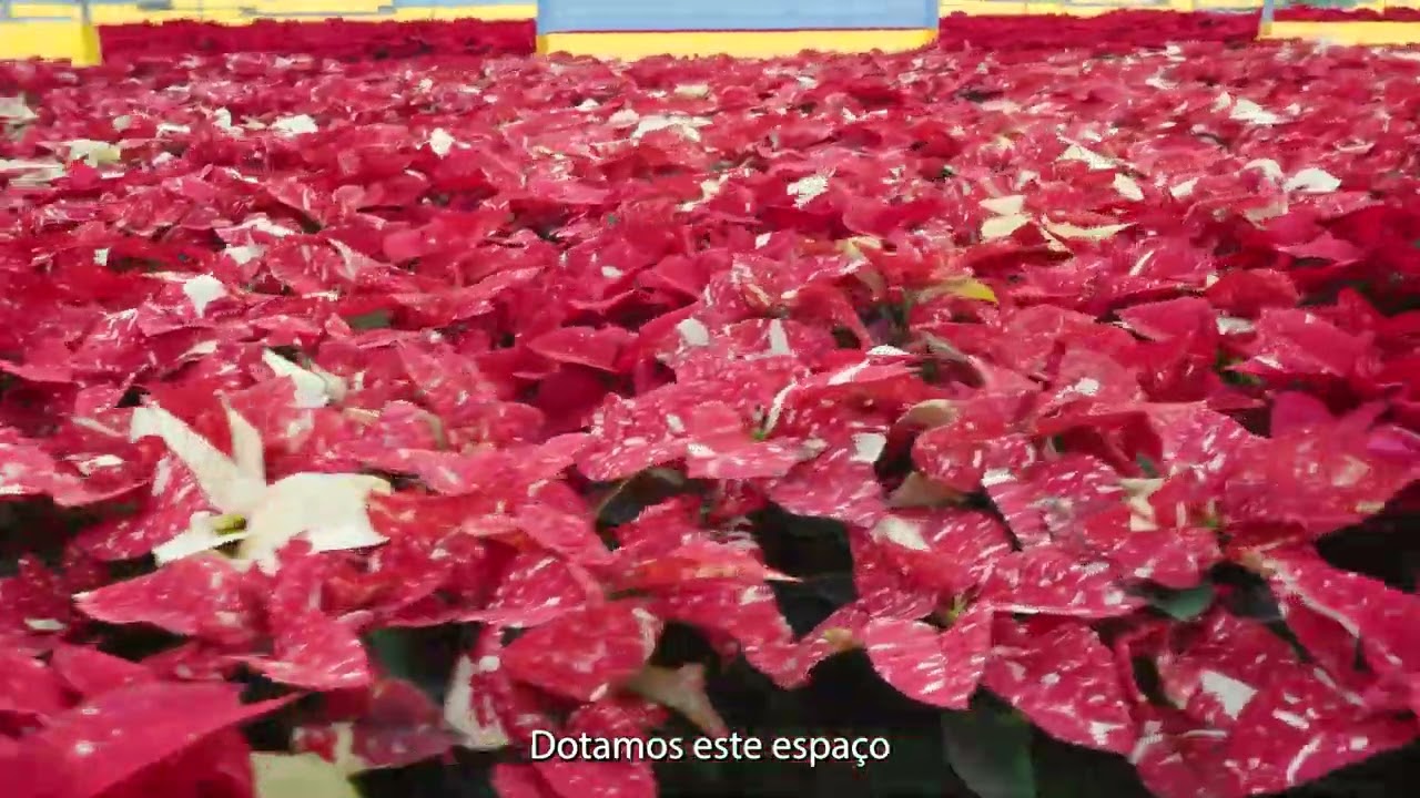 Agricultura, um Ativo Estratégico para o Algarve | Plantalgarve, Viveiros Agrícolas