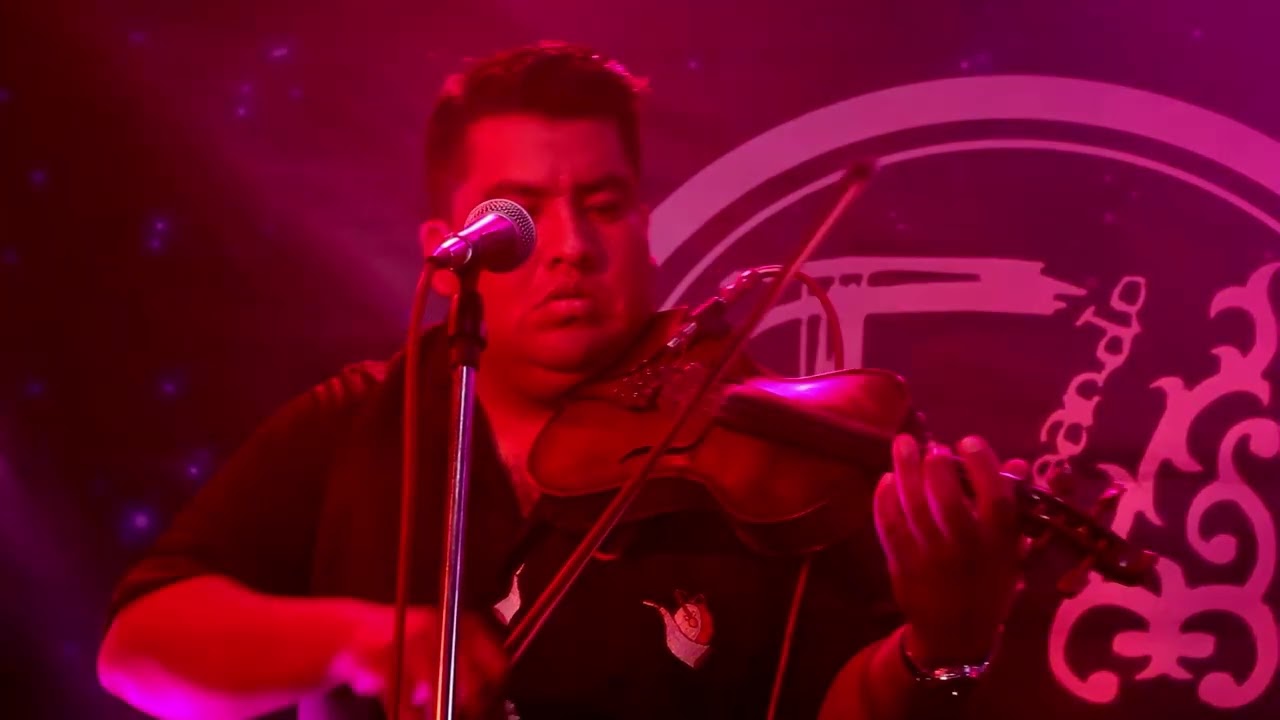 Los Sapitos Cantores - Testigo de amor, Mujer ingrata (Cueca)