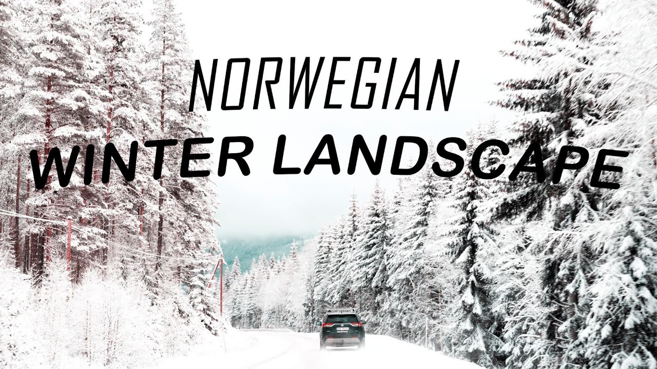 NORWEGIAN WINTER LANDSCAPE  - Travel Vlog