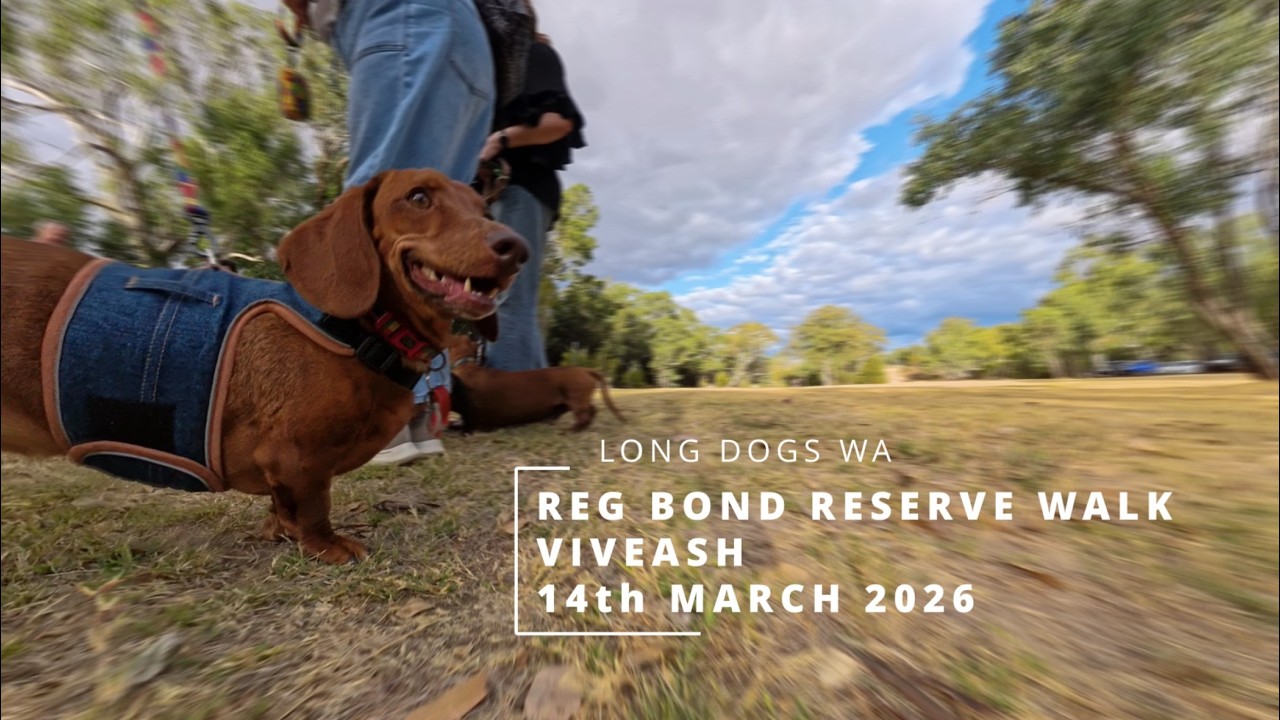 Long Dogs WA - March 2026 - Reg Bond Reserve Viveash