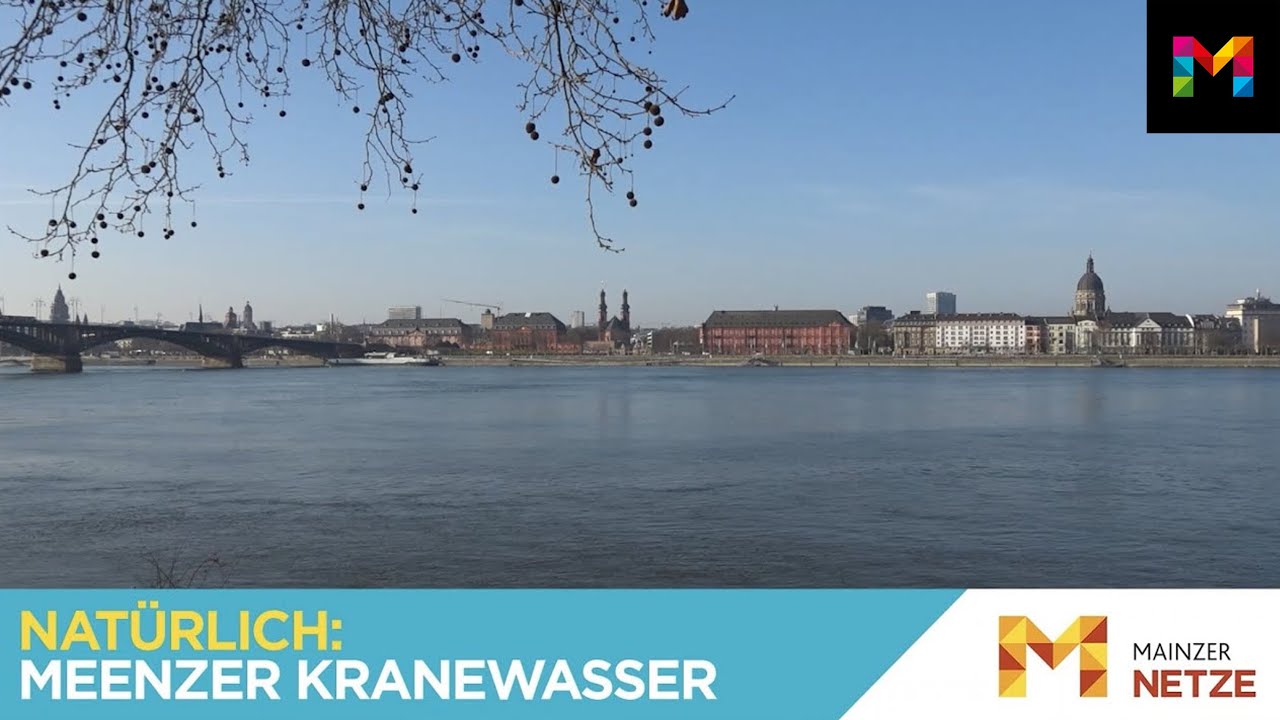 Der Weg des Mainzer Trinkwassers