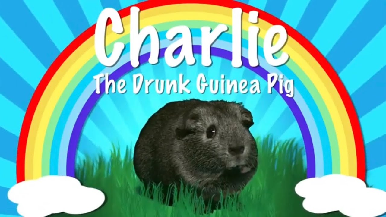 Charlie The Drunk Guinea Pig Tetralogy (Marathon)