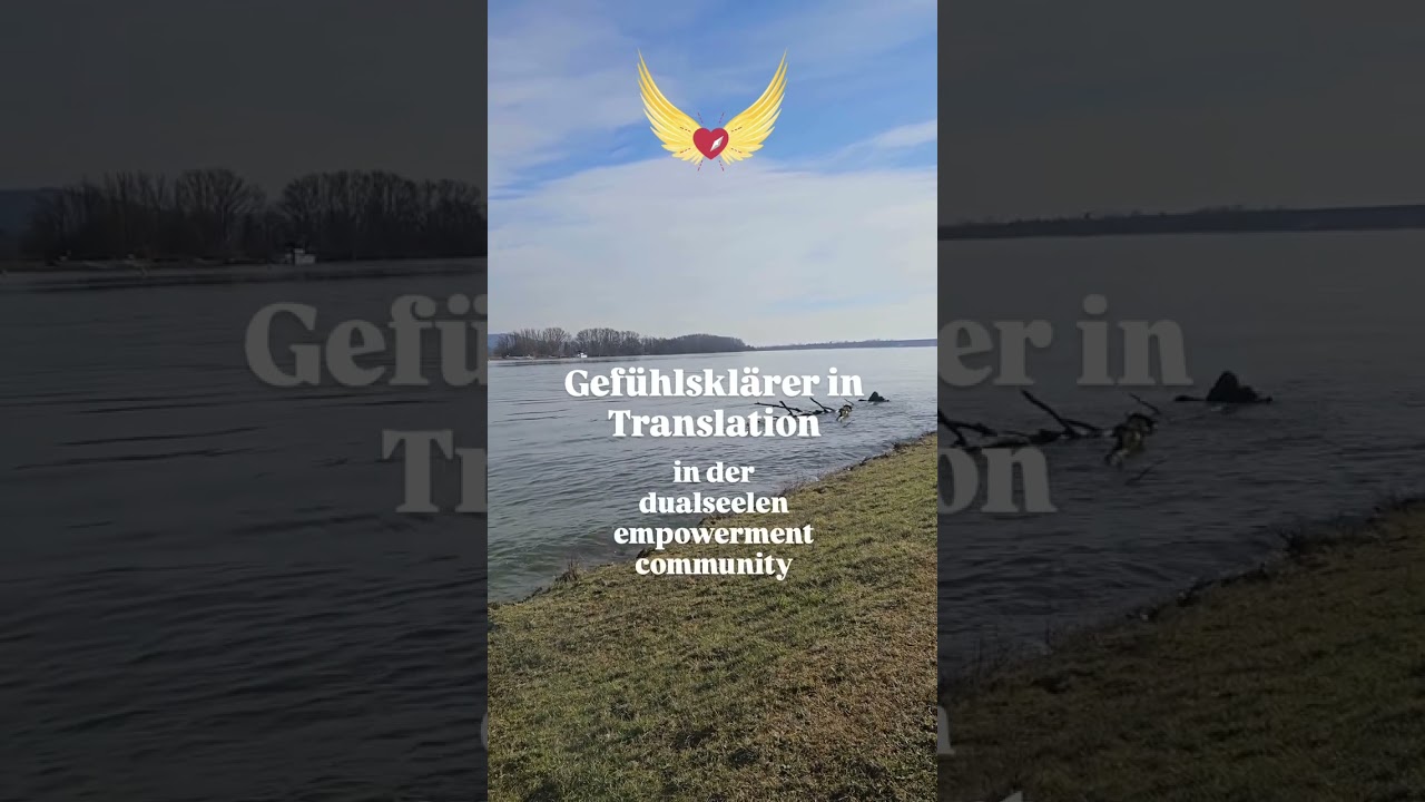 🔥 NEU: Gef&uuml;hlskl&auml;rer in Translation!