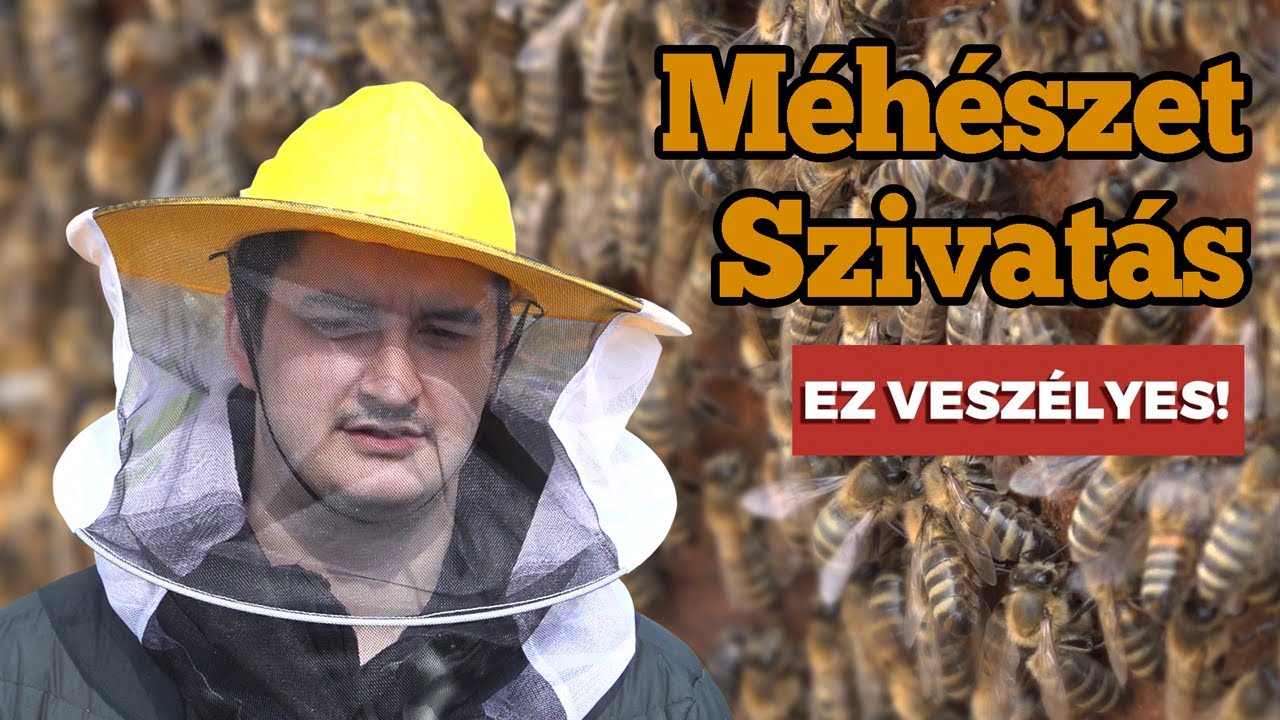 12 Órán Át Méhekkel Kínoztak | Vendel Szivatás
