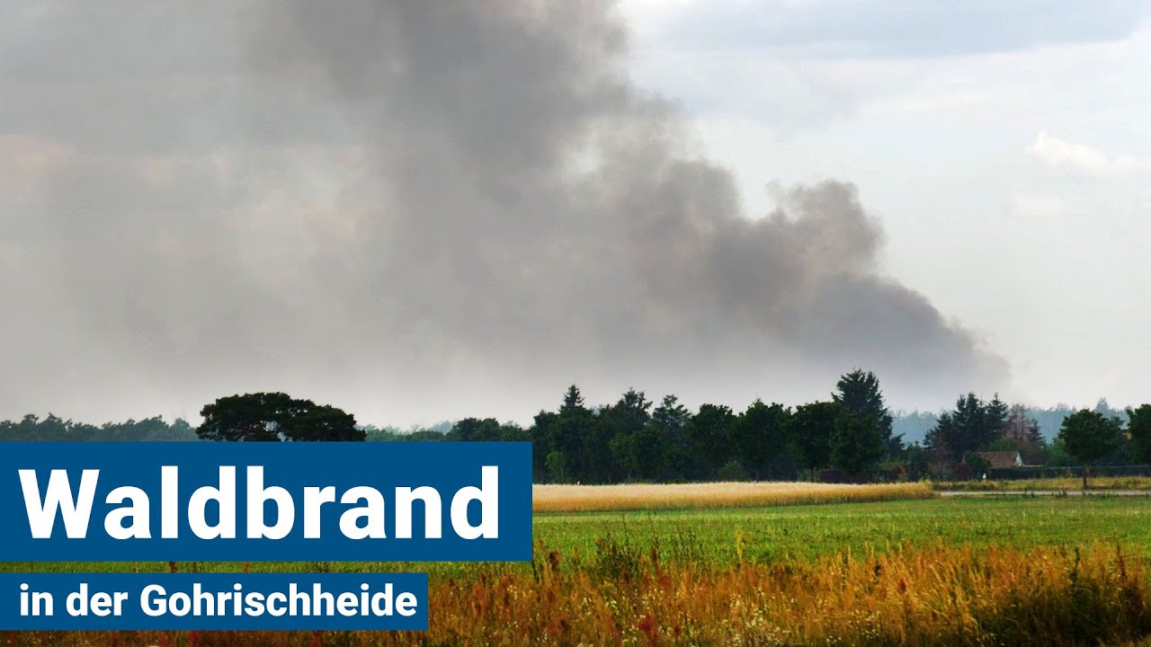 Waldbrand in der Gohrischheide - Die Lage am Dienstagabend