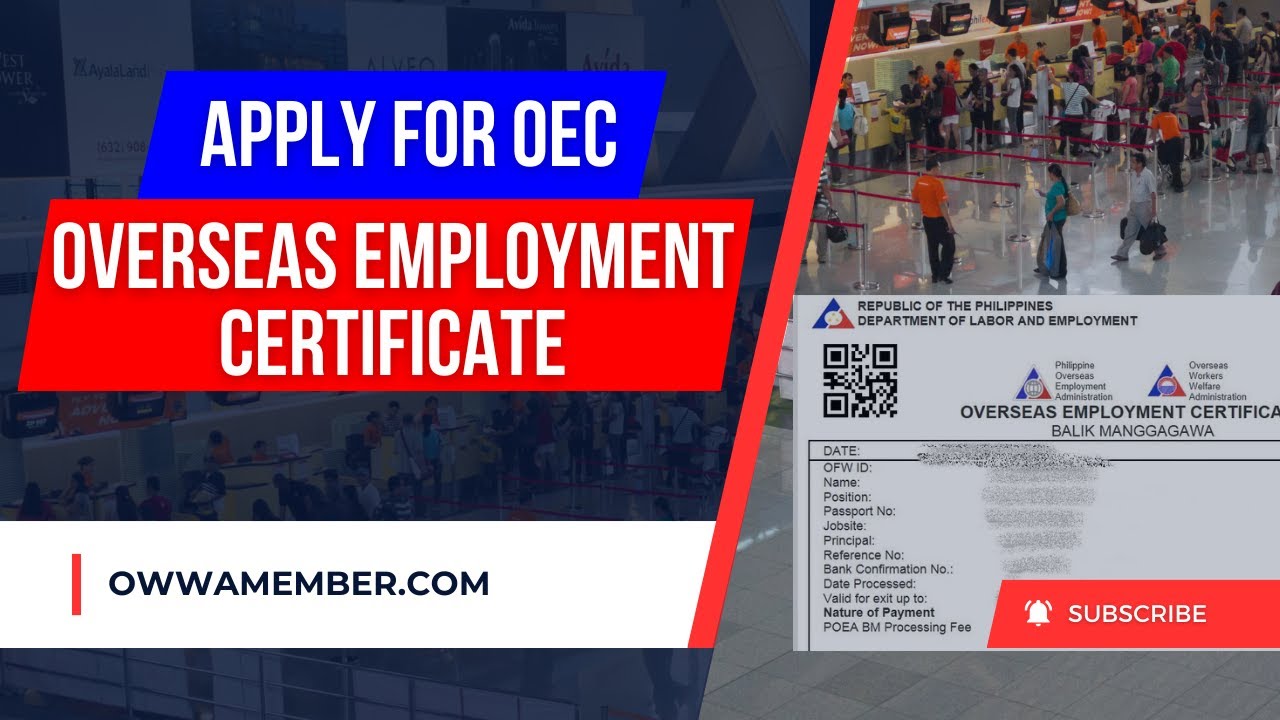 Как получить OEC (сертификат на право трудоустройства за рубежом) для иностранных рабочих