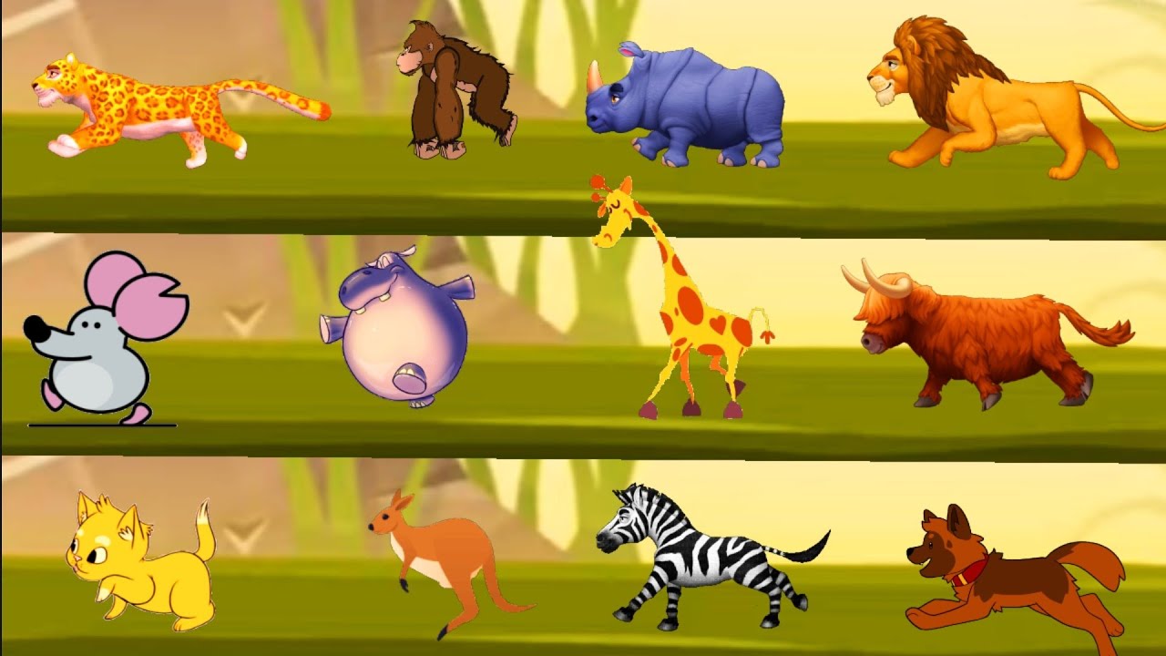 Animal Race Song for Kids | Fun Animal Sounds and Rhymes | Learn with Cocomomokidstv