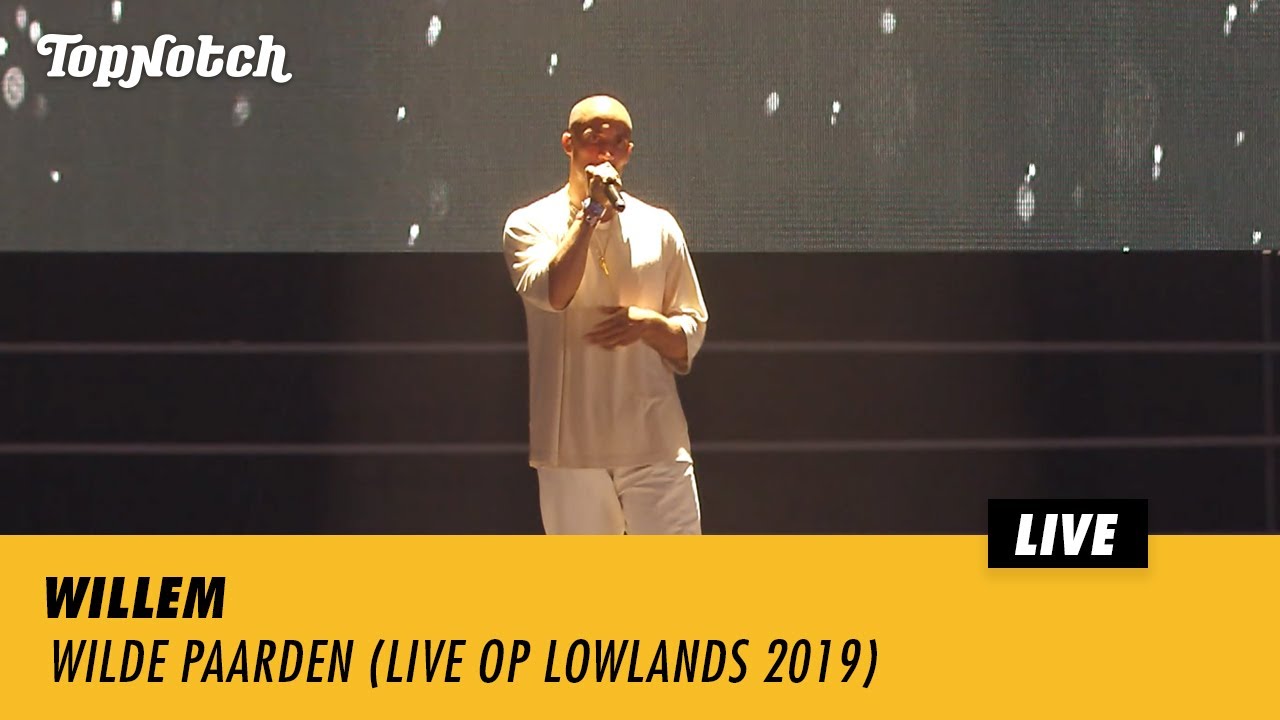 Willem - Wilde Paarden (Live op Lowlands 2019)