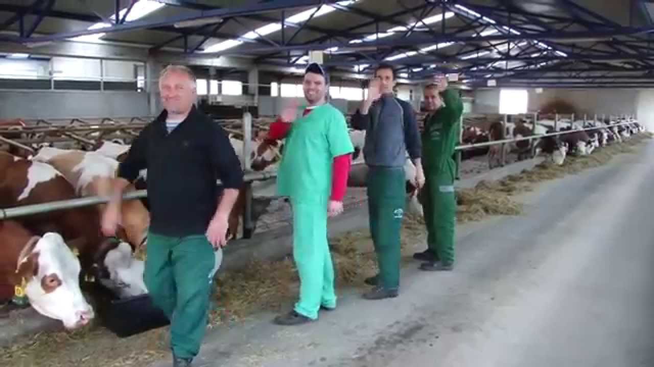 Pharrell Williams - Happy (Posušje)