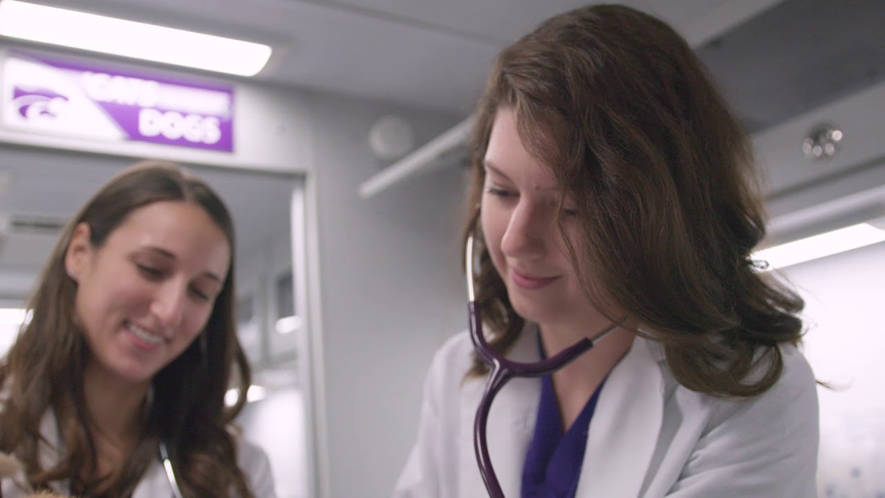 K-State Vet Med Virtual Tour - Clinical Sciences and the Veterinary Health Center