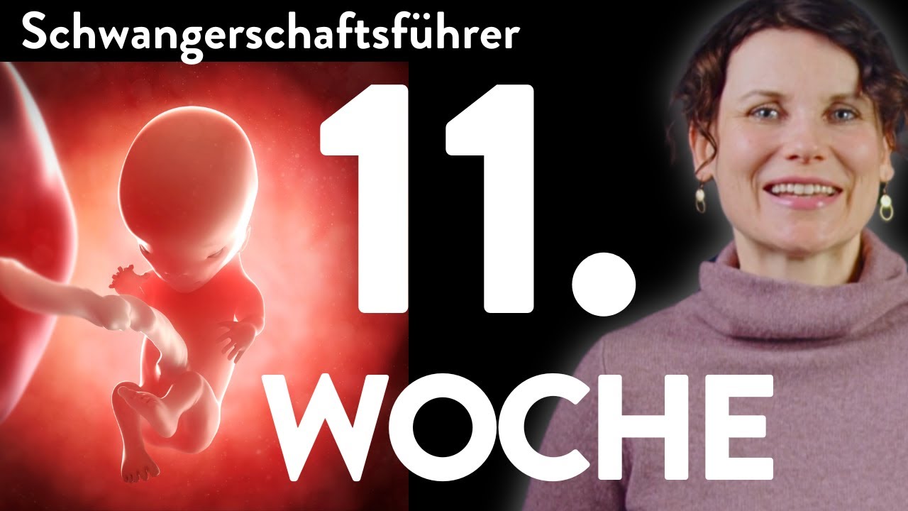 Was passiert in der WOCHE 11? | Dein Schwangerschaftsführer | SSW 11 | 11. Woche |