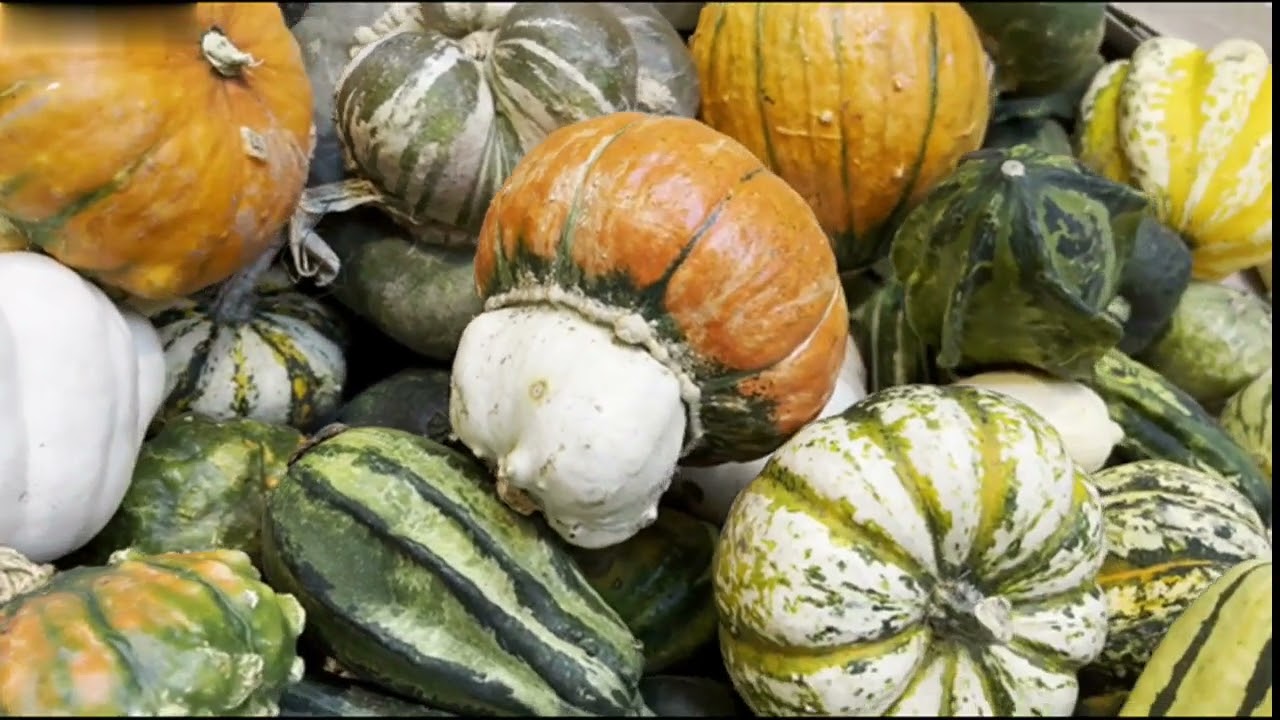 SPADEUK - THROUGH THE NIGHTTIME 