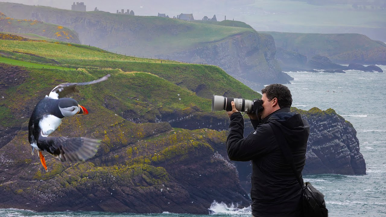 Scotland Bird Photography: From Rivers To Cliffs ( I Was NOT Expecting This!)