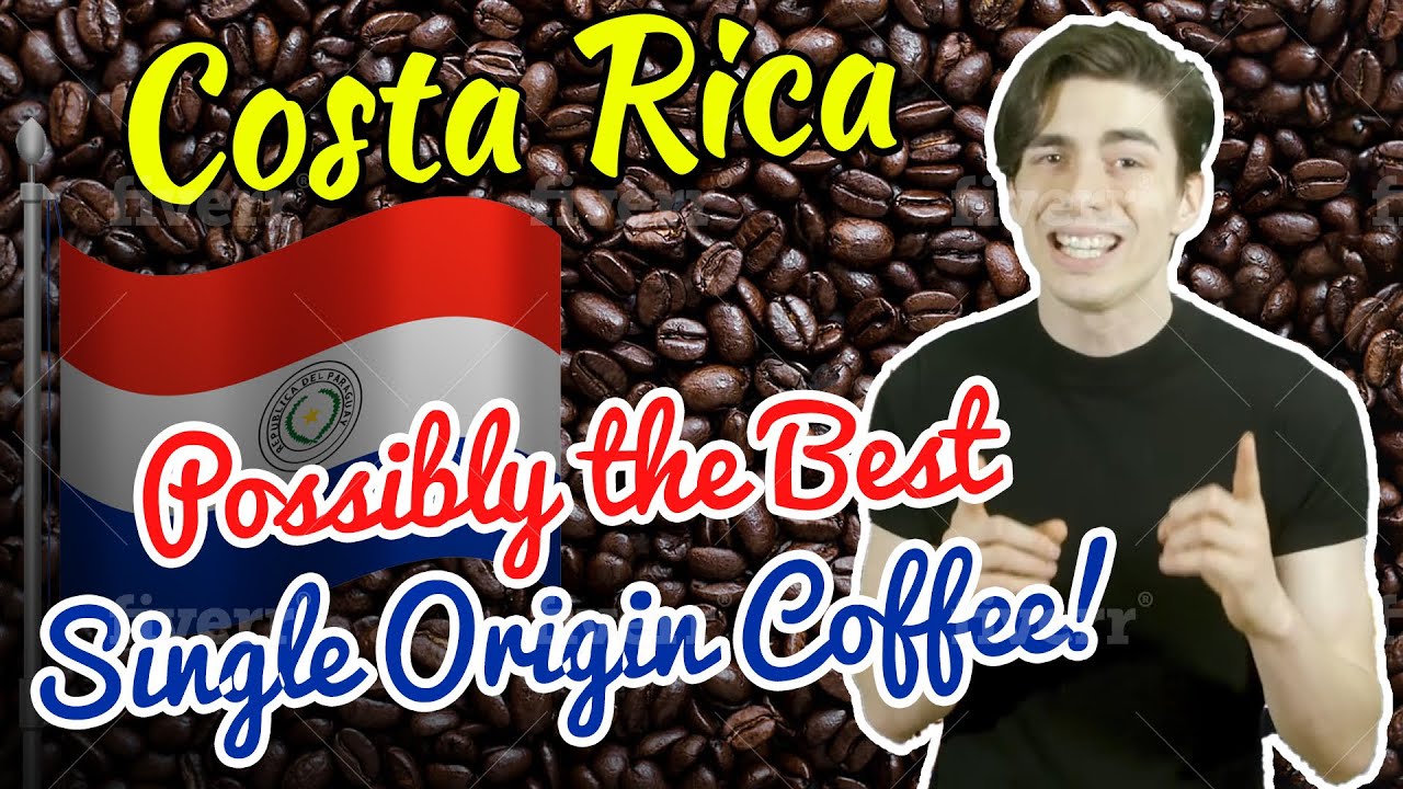 Costa Rica: Possibly the BEST Single Origin Coffee!