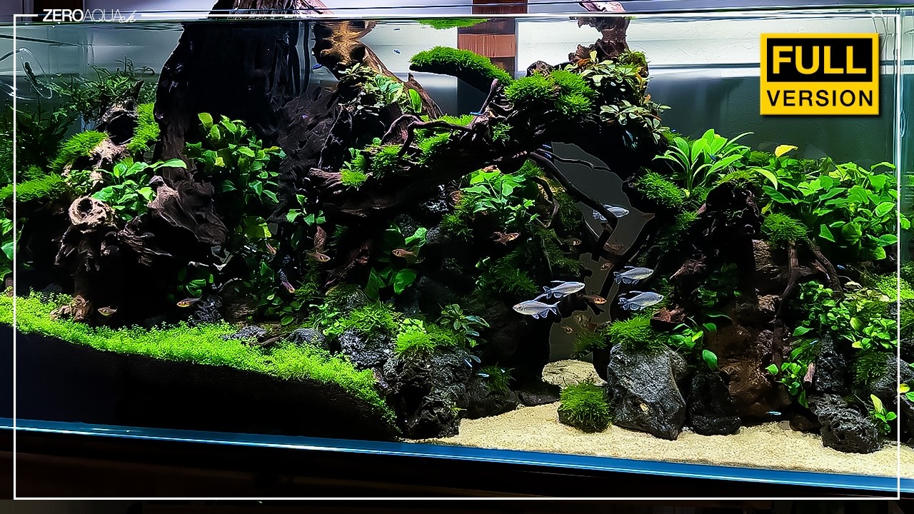 120cm水槽 立ち上げから完成まで/アクアリウム/aquarium/120cm/vlog/