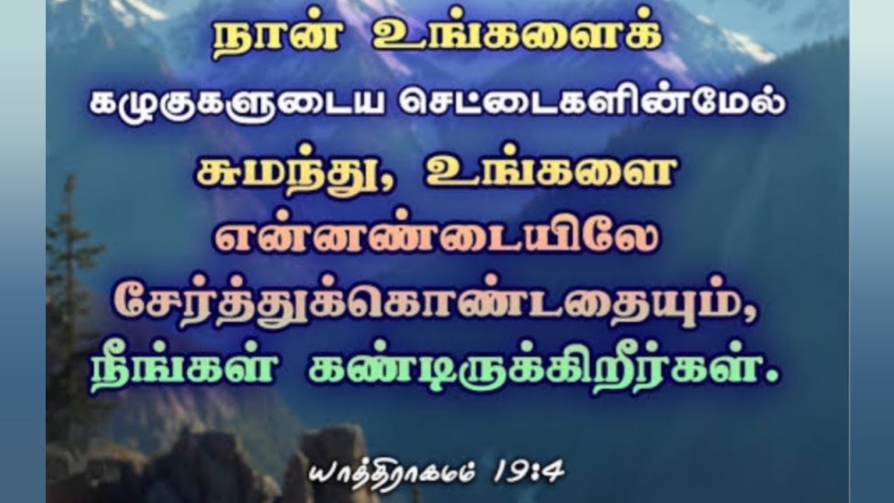 கழுகு போல் நம்மை சுமக்கும் தேவன்.Exodus 19:4