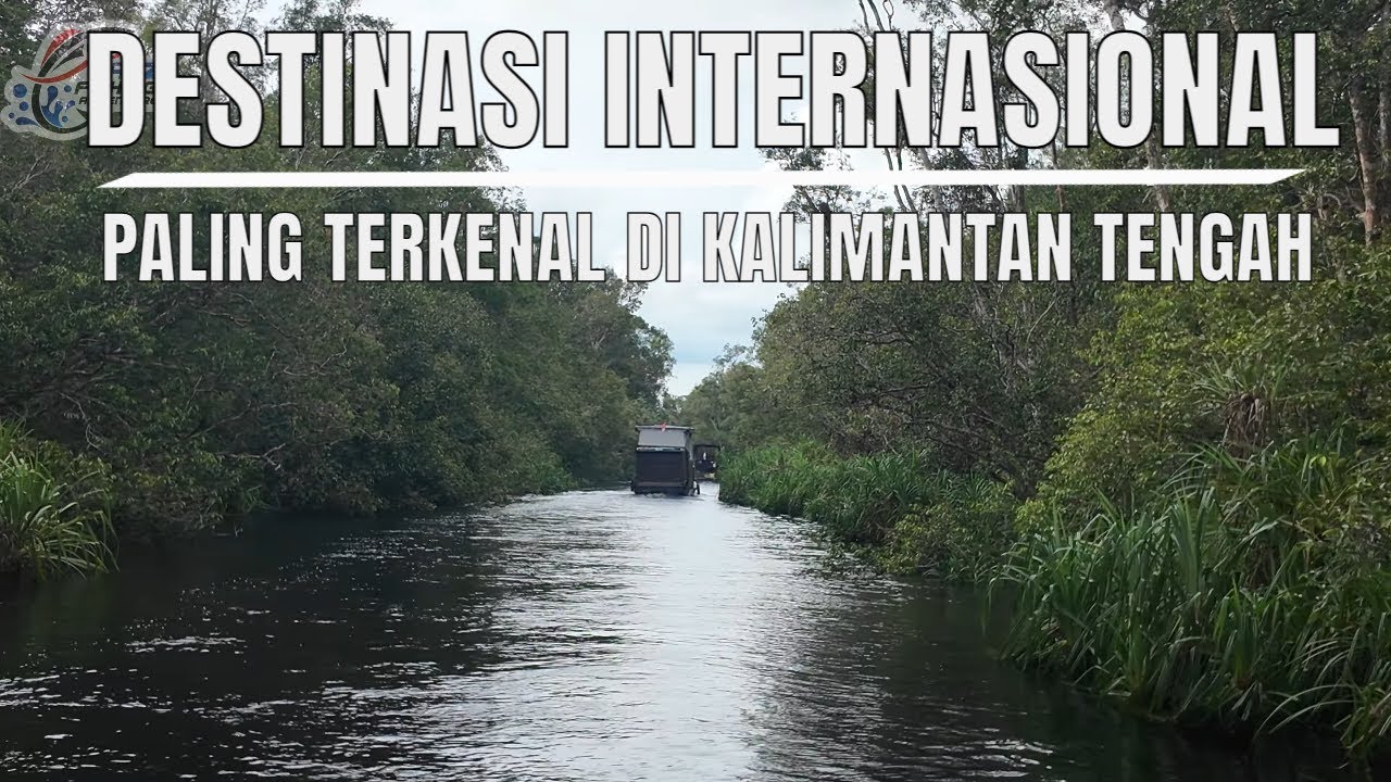 Ekspedisi Tanjung Puting 3 Hari 2 Malam | Naik Kelotok & Bertemu Orang Utan LIAR BORNEO