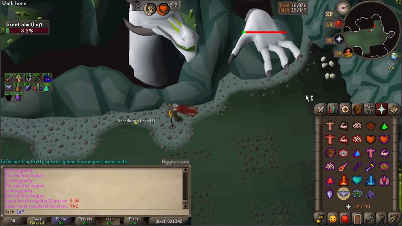 Welfare Gear Solo Raid 2017 (OSRS)
