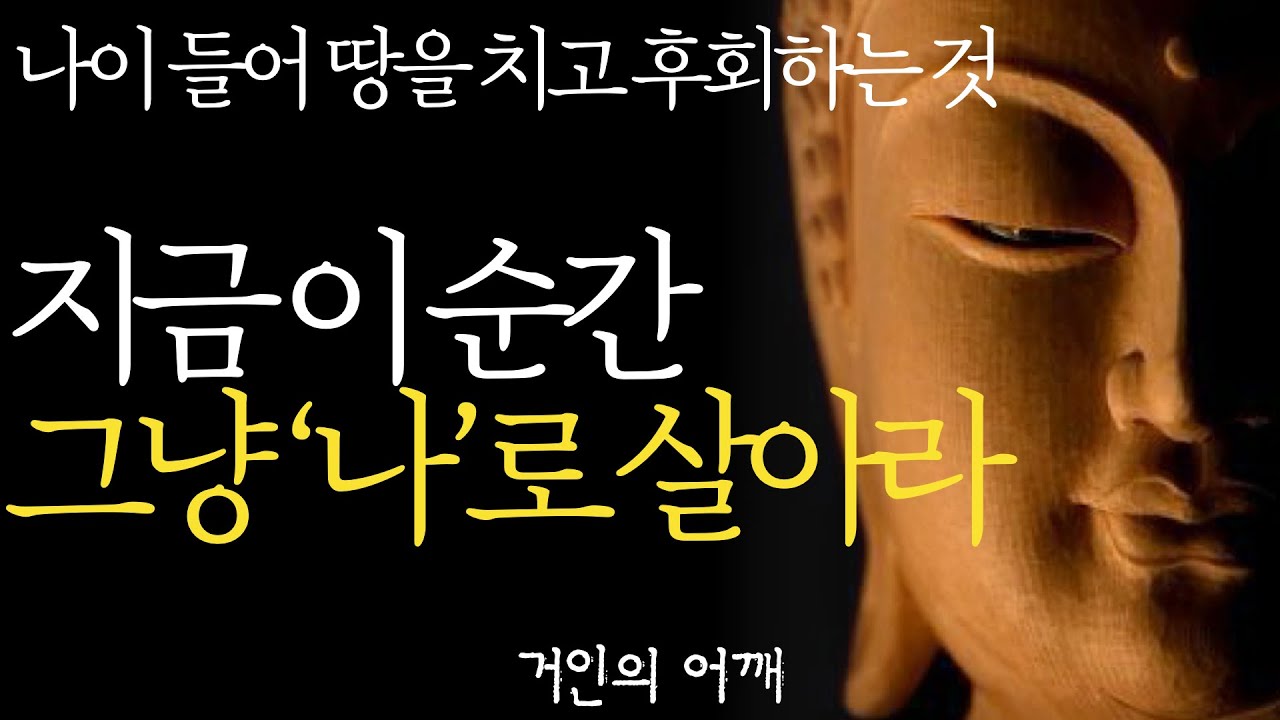 석가모니 명언 | 인생조언| 행복한 사람은 단순하게 삽니다| “이걸 왜 안했을까요..후회됩니다..” 60대 99%가 땅을 치며 반성하는 4가지 | 후회없는 여생을 사는 법 | 부처