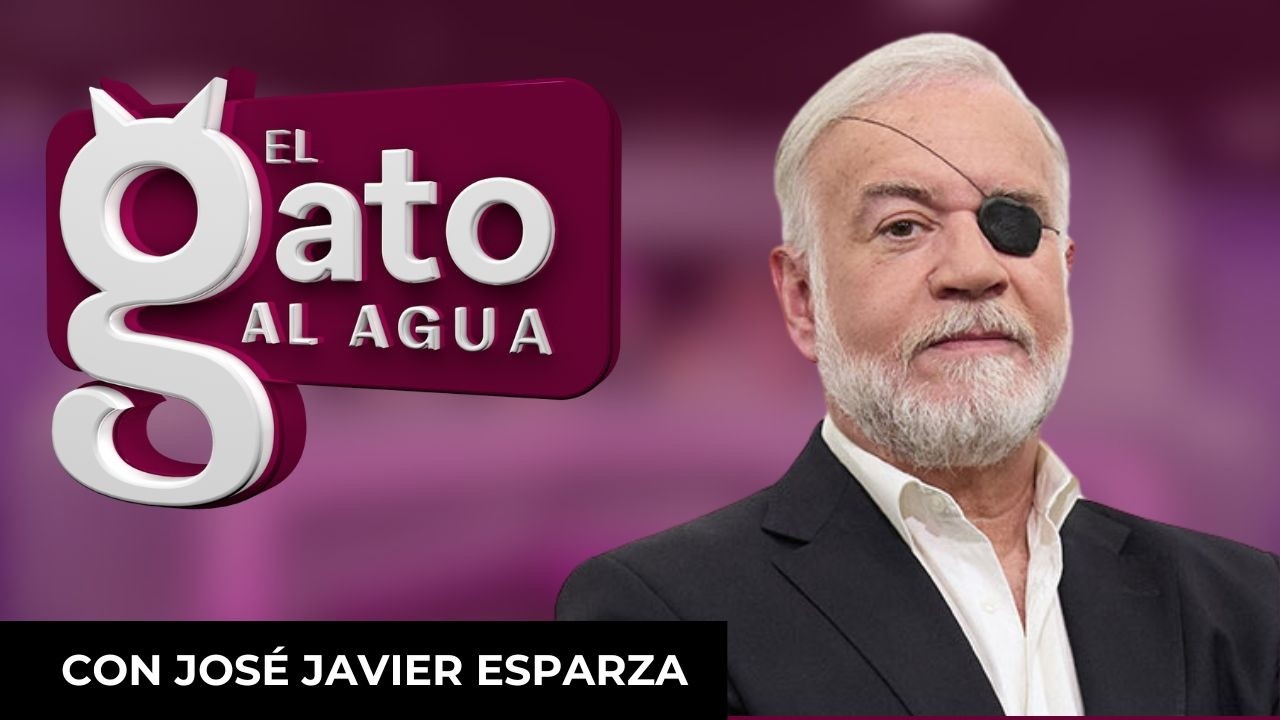 El Gato Al Agua | 12/02/2026