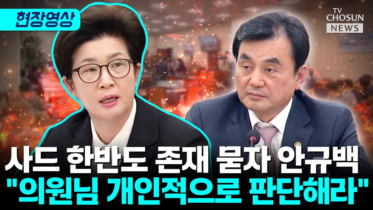주한미군 자산 반출 부정했던 안규백, 강선영 추궁에 흔들 [티조Clip]
