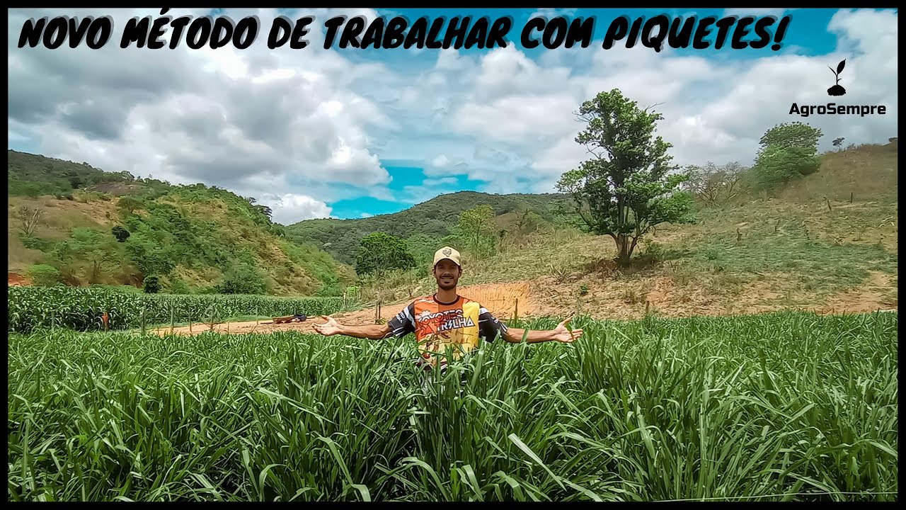 Novo método de trabalhar com piquetes!