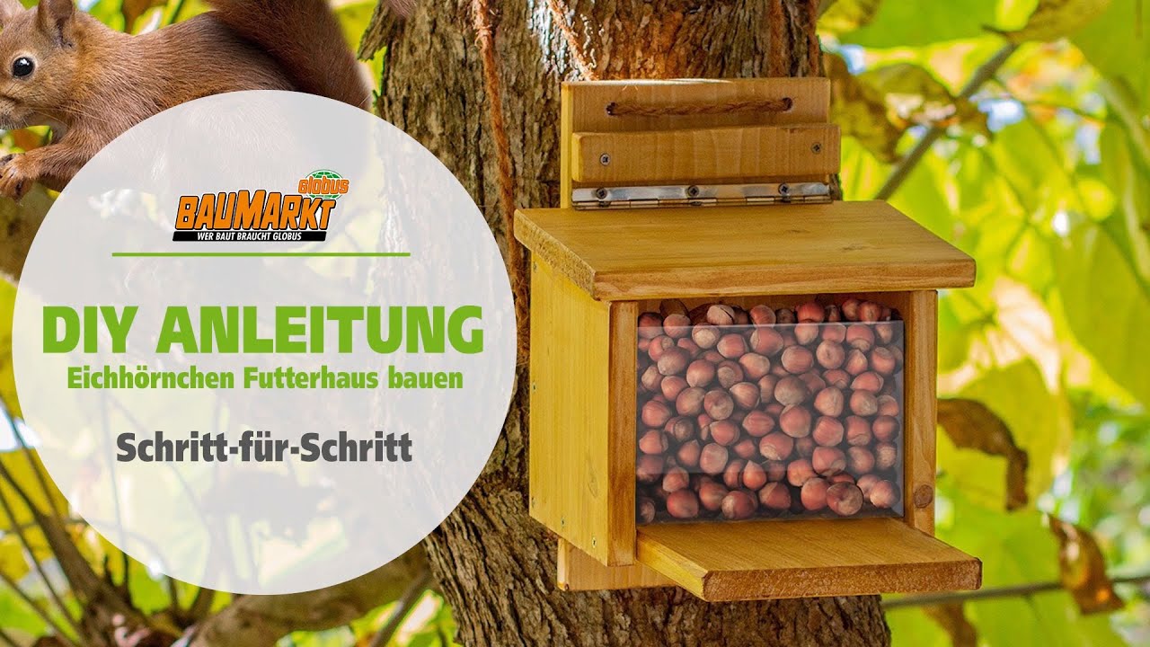 Eichh&ouml;rnchen Futterhaus bauen | GLOBUS BAUMARKT