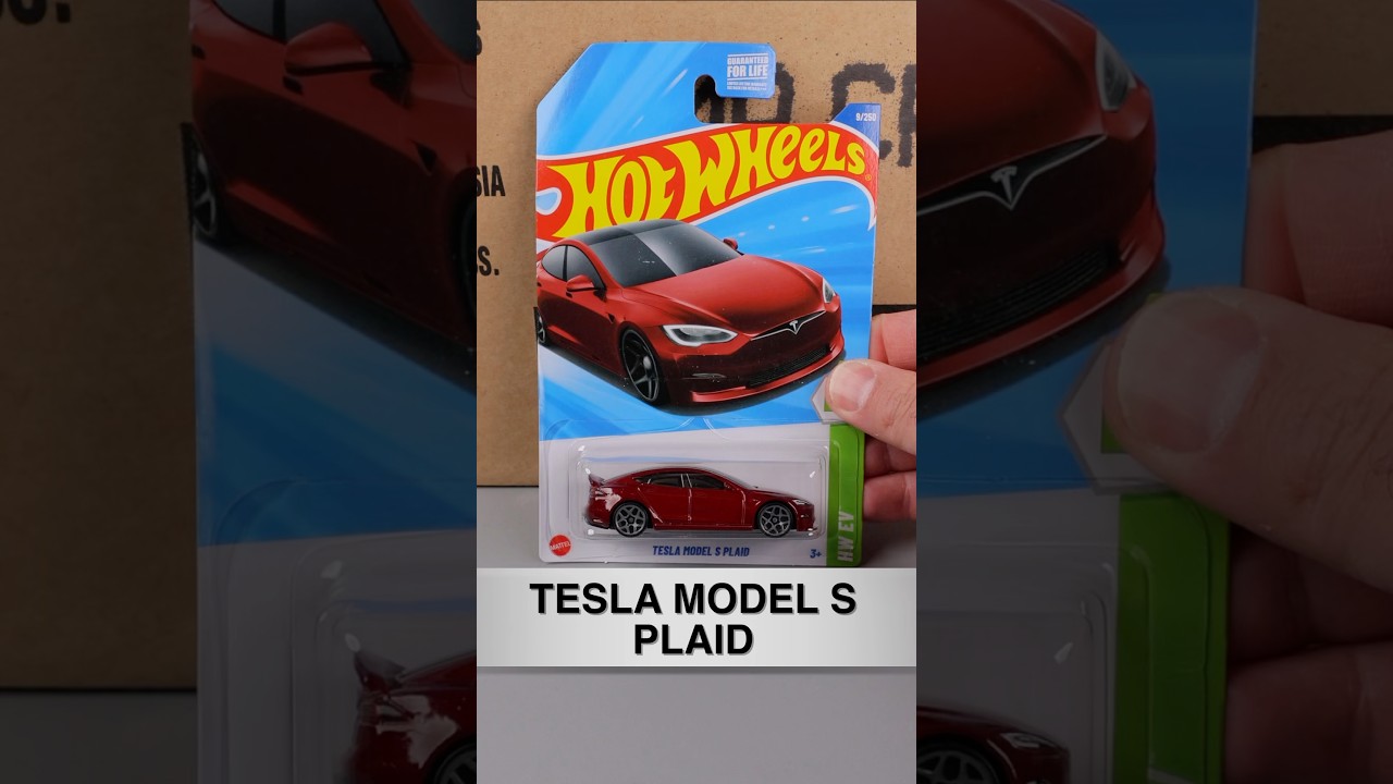 Winner of 2025 Hot Wheels A Case
