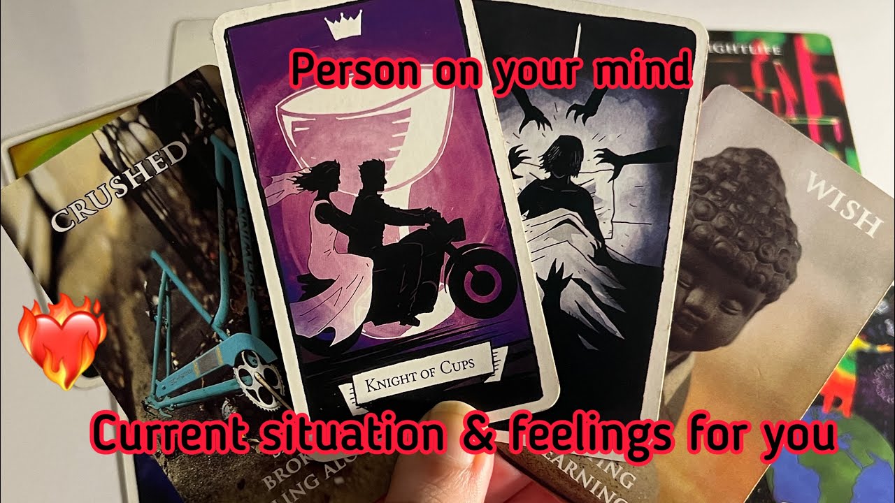 Person on your mind : Their current situation & Feelings for you💞Hindi tarot card reading