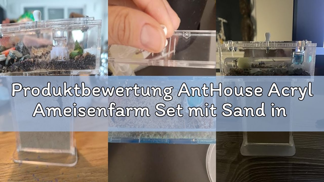 Produktbewertung AntHouse Acryl Ameisenfarm Set mit Sand in Mini T-Form - 14x5x14 cm Sandwich und Fu