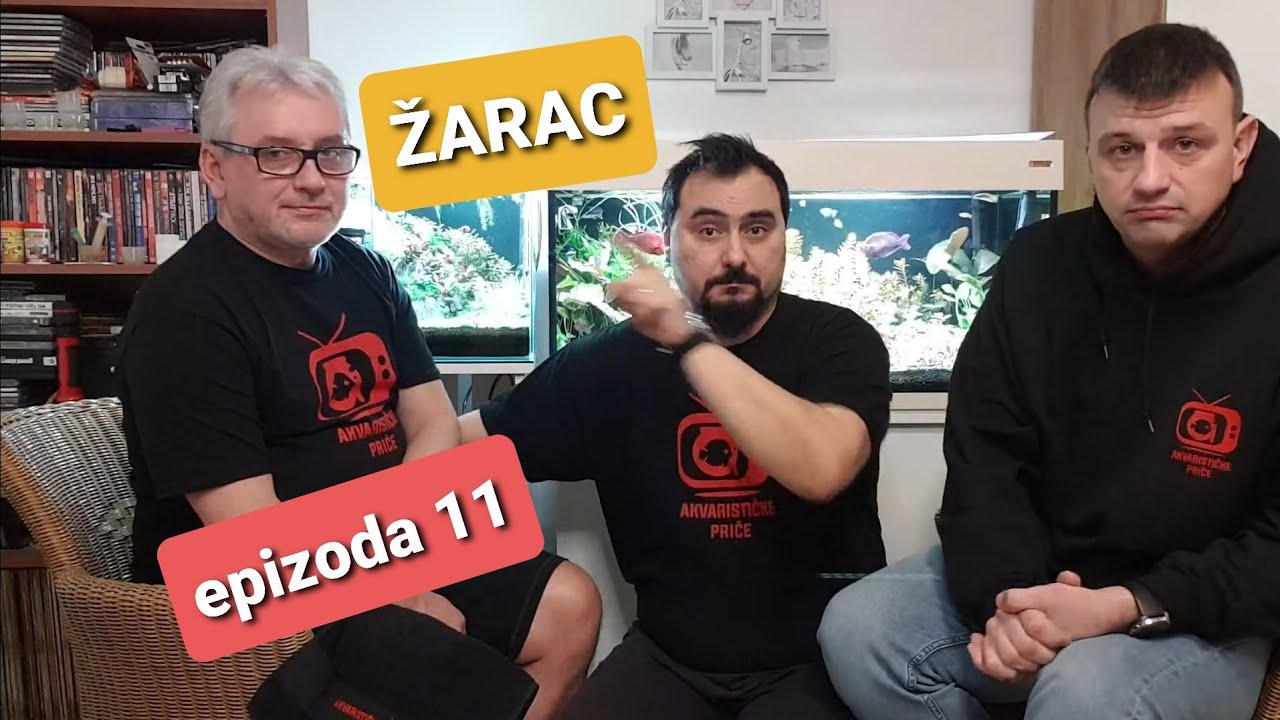 Akvarističke priče sez.4, ep.11 